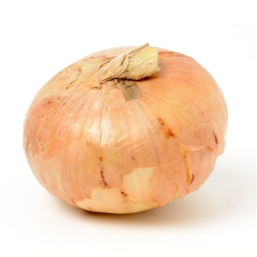 Vidalia Onion