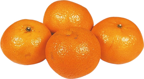Satsuma Mandarins
