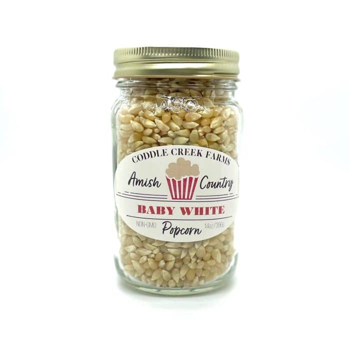 Coddle Creek Baby White Popcorn