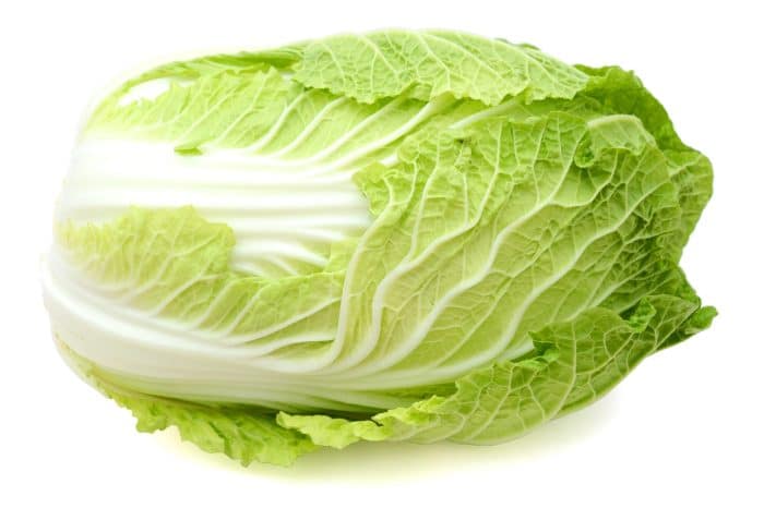 Napa-Cabbage
