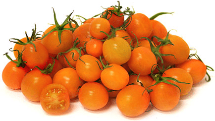 Organic Sungold tomatoes