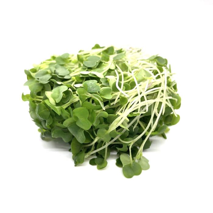 Dwarf Siberian Kale Microgreens