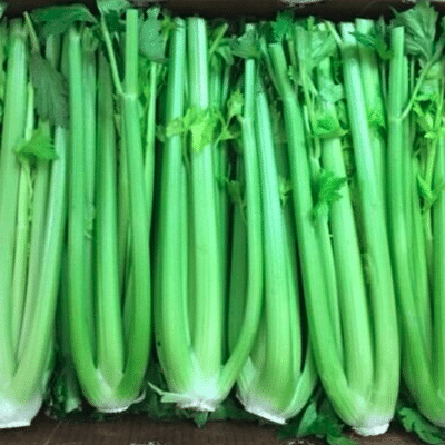 Celery Case